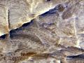 20 Şubat 2007 : Mars'taki Beyaz Dağ Sırtları