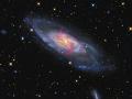 19 Mart 2011 : Messier 106