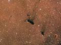1 Mayýs 2011 : Barnard 163 Molekül Bulutu