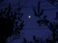 13 Şubat 2012 : Yumurta Biçiminde Görünen Tuhaf Bir Venüs