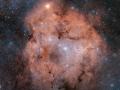 5 Ağustos 2012 : IC 1396 : Kral Takımyıldızı'ndaki Salma Bulutsusu