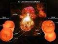 17 Temmuz 2014 : 3D Homunculus Nebula