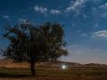 15 Austos 2014 : Perseid in Moonlight