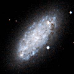 NGC 2976