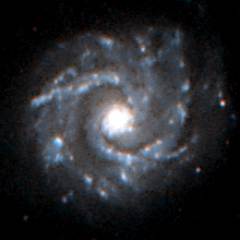 NGC 3631