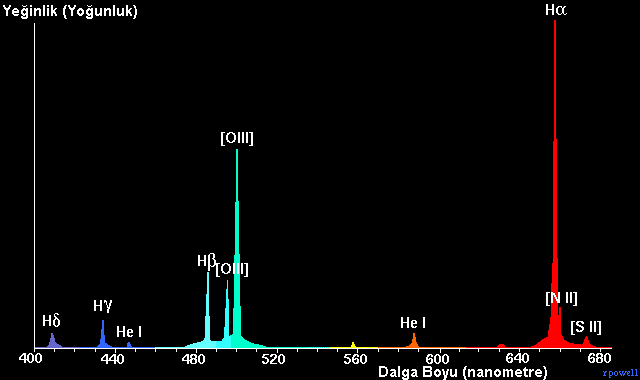 Salma Bulutsusu Tayf�