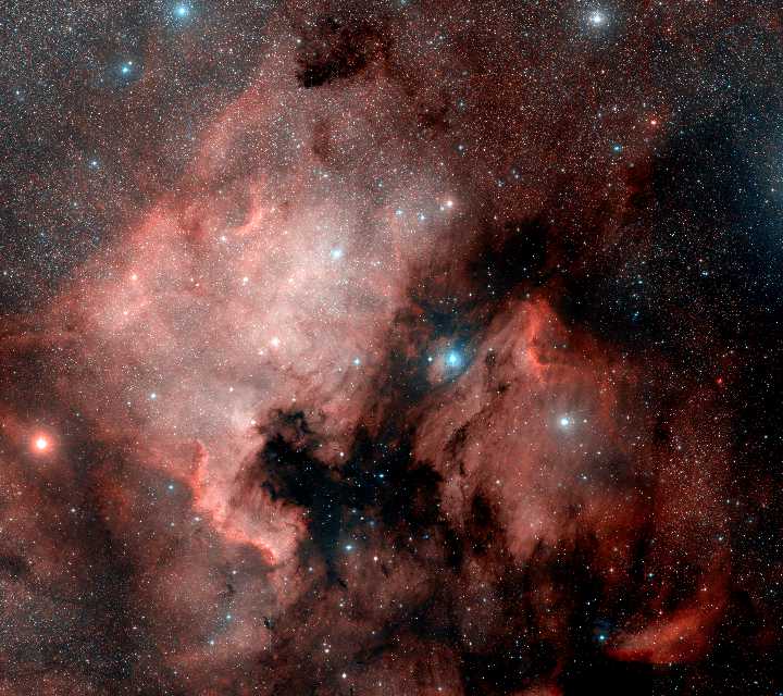 NGC 7000 - Kuzey Amerika ve Pelikan Bulutsuları
