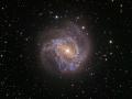 24 Temmuz 2007 : Sarmal Gökada M83 : Güney Fırıldağı
