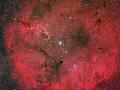 24 Aralık 2007 : Salma Bulutsusu IC 1396
