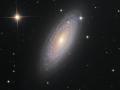 29 Mart 2008 : Sarmal Gökada NGC 2841