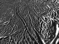 31 Mart 2008 : Enceladus'un Kaplan Çizgilerinin Yakın Çekimi
