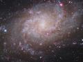 M33 : Üçgen Gökadası - 13 Eylül 2008