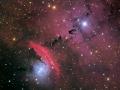 2 Ağustos 2009 : NGC 6559'un İçindeki Yıldızlar, Toz ve Bulutsu