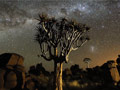 4 Şubat 2013 : Namibya Geceleri