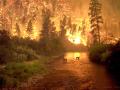 1 Eylül 2013 : Dünya'da Yangın