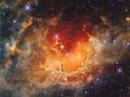 18 Kasım 2014 : Star Formation in the Tadpole Nebula