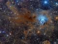 6 Mayıs 2016 : NGC 7023 : Süsen Çiçeği Bulutsusu