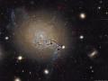 5 Nisan 2017 : Etkin Gökada NGC 1275'in İplikçikleri