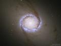 10 Temmuz 2017 : Sarmal Gökada NGC 1512: Nükleer Halka